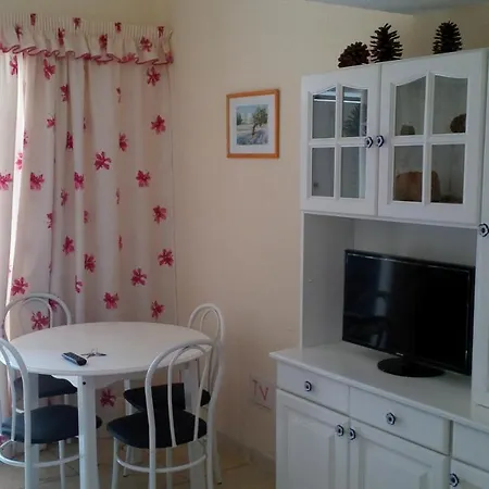 Apartment Great Beachside Duplex In Playa De Americas *